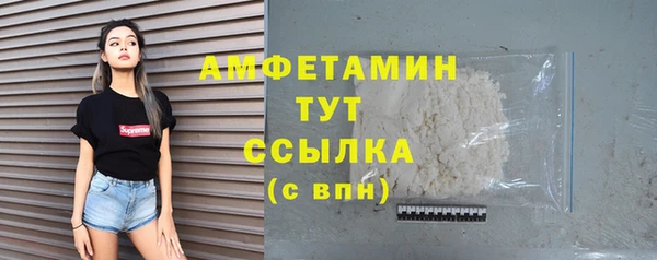 спиды Богородицк