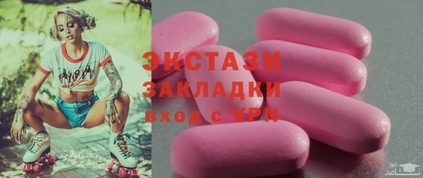 спиды Богородицк