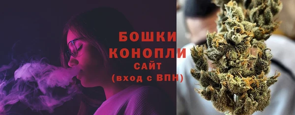 спиды Богородицк