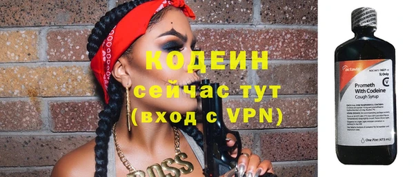 спиды Богородицк