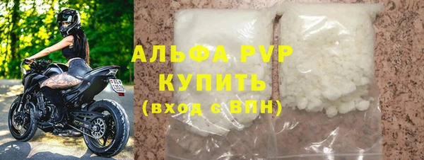 спиды Богородицк