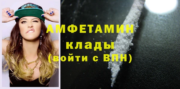 спиды Богородицк