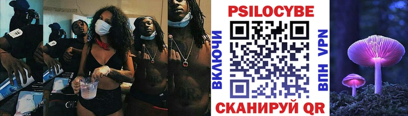 купить наркотик  Тверь  shop клад  Галлюциногенные грибы прущие грибы 